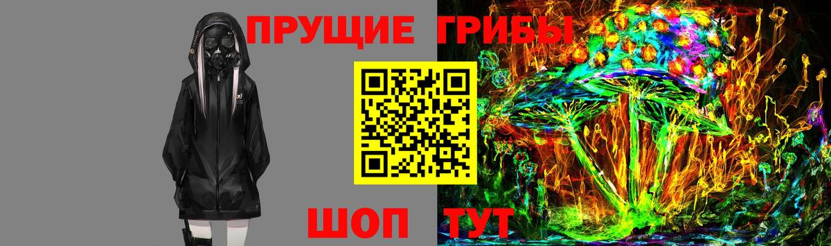 где купить наркоту  Псилоцибиновые грибы мицелий  Вход с VPN  Сердобск 